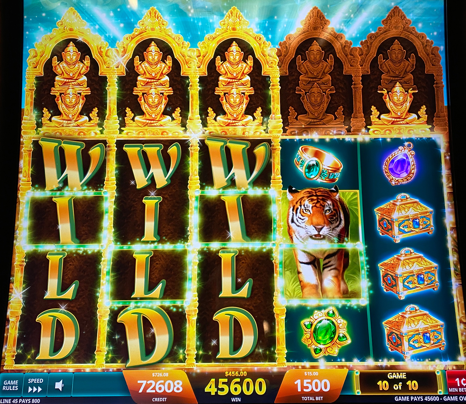 Golden Jungle Grand photo 1