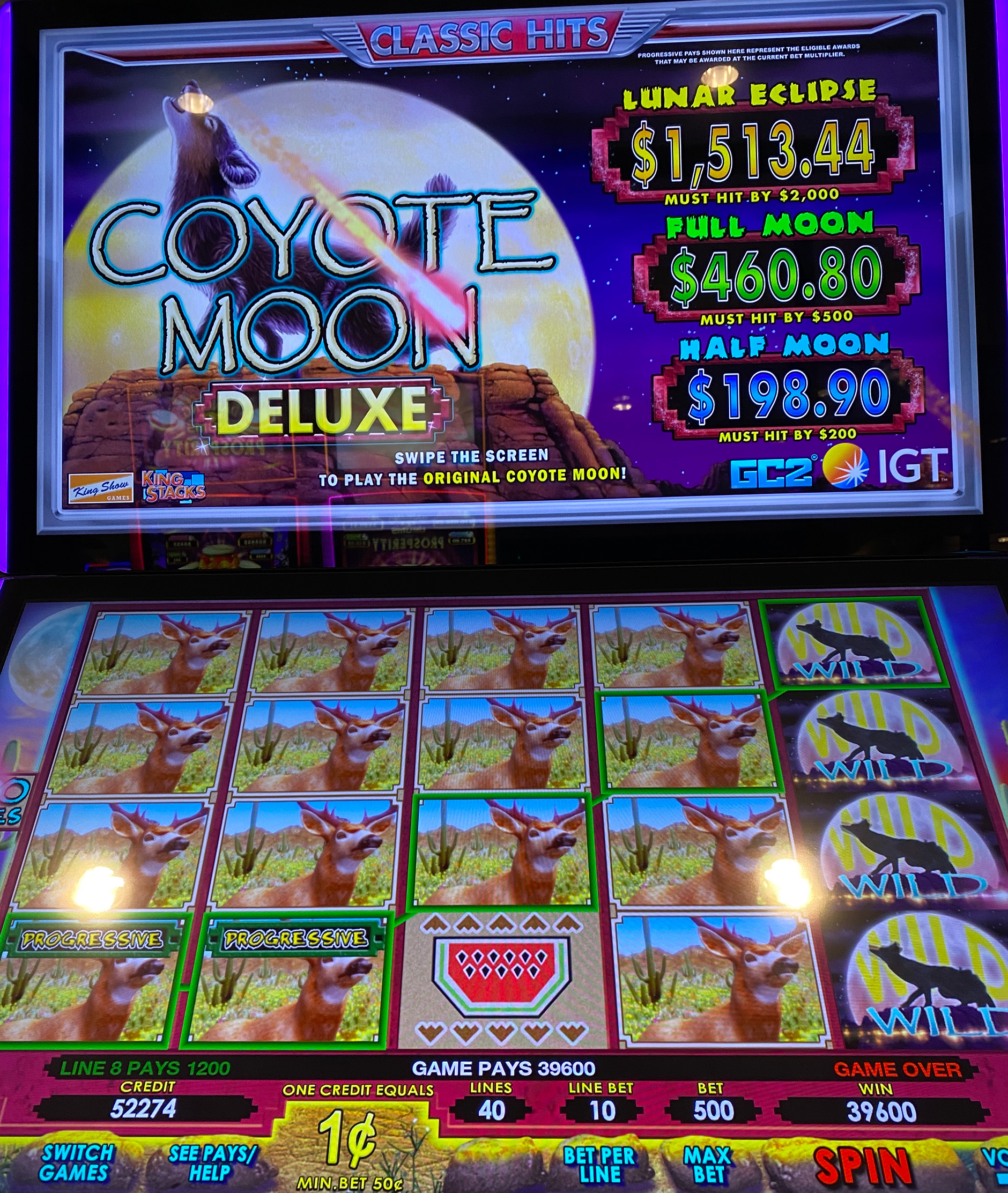 Coyote Moon Deluxe photo 1