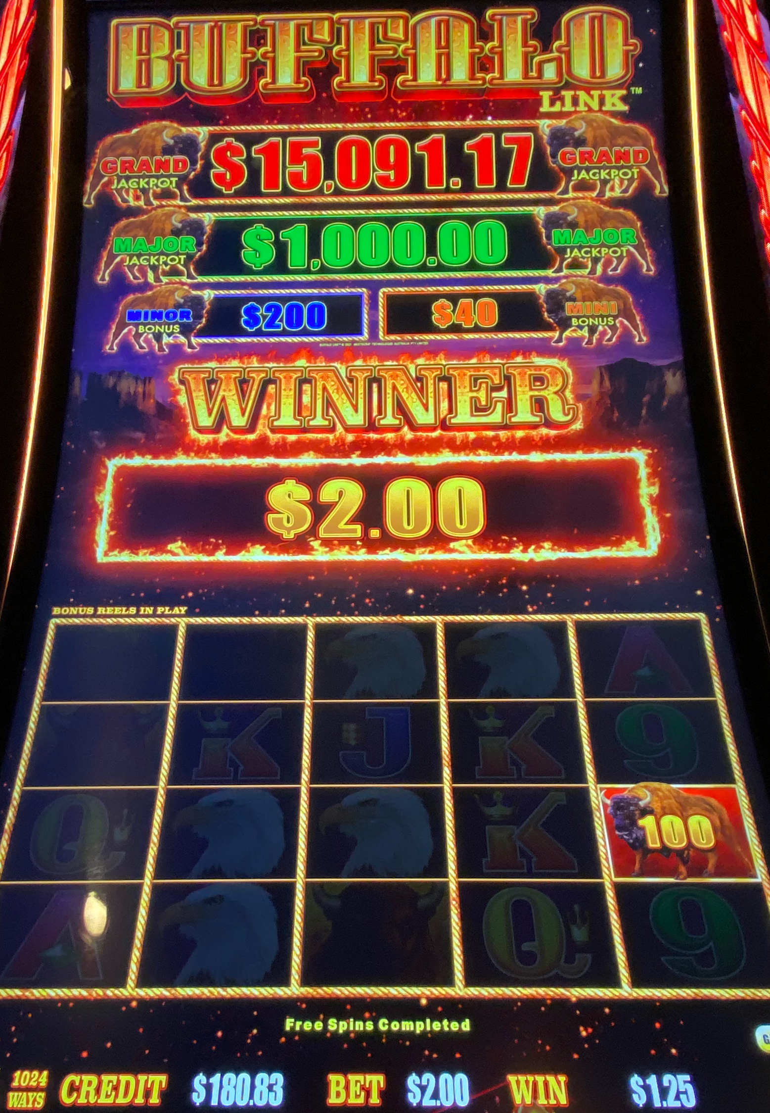 Buffalo Link photo 1