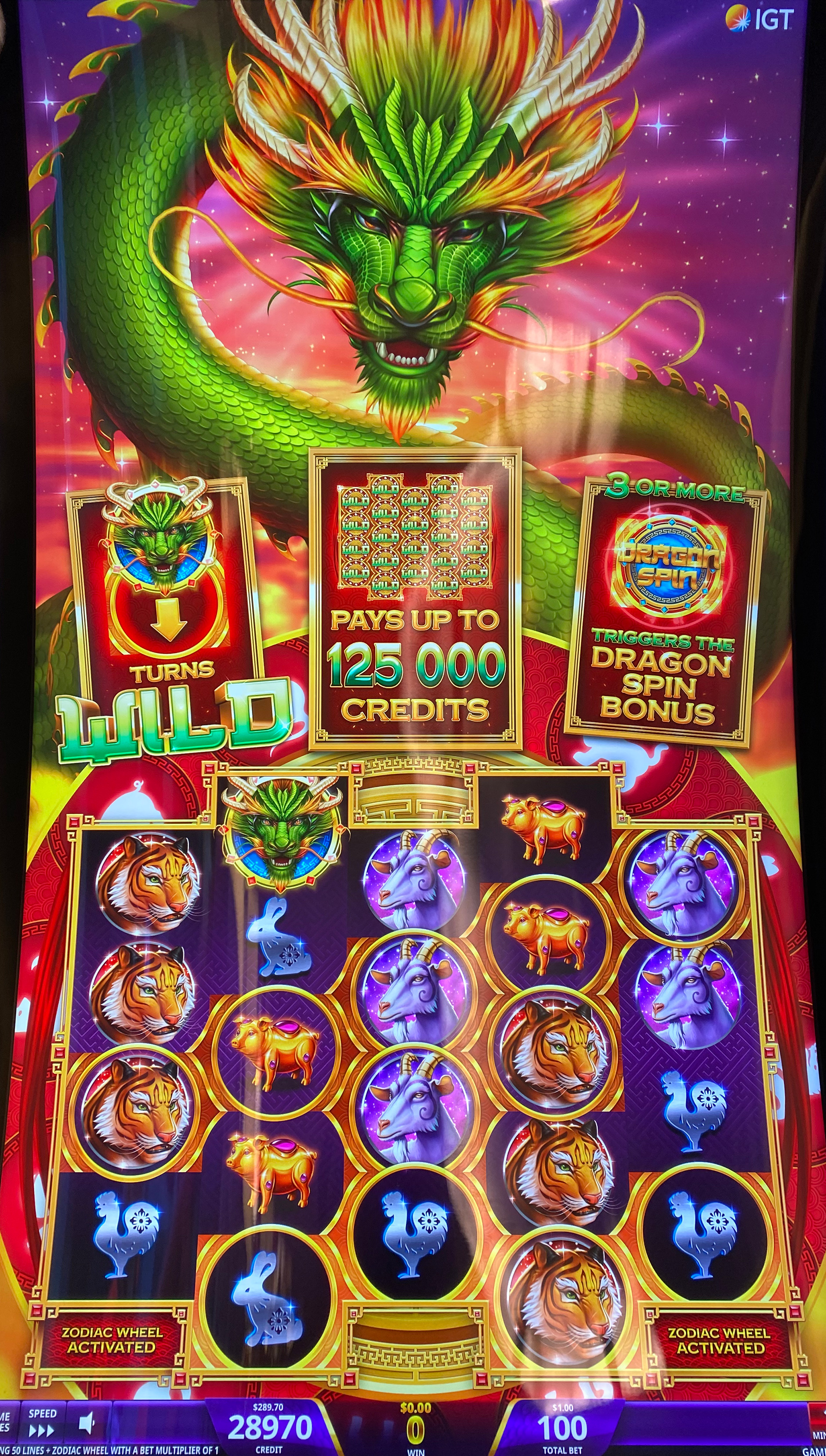 Zodiac Dragon photo 1