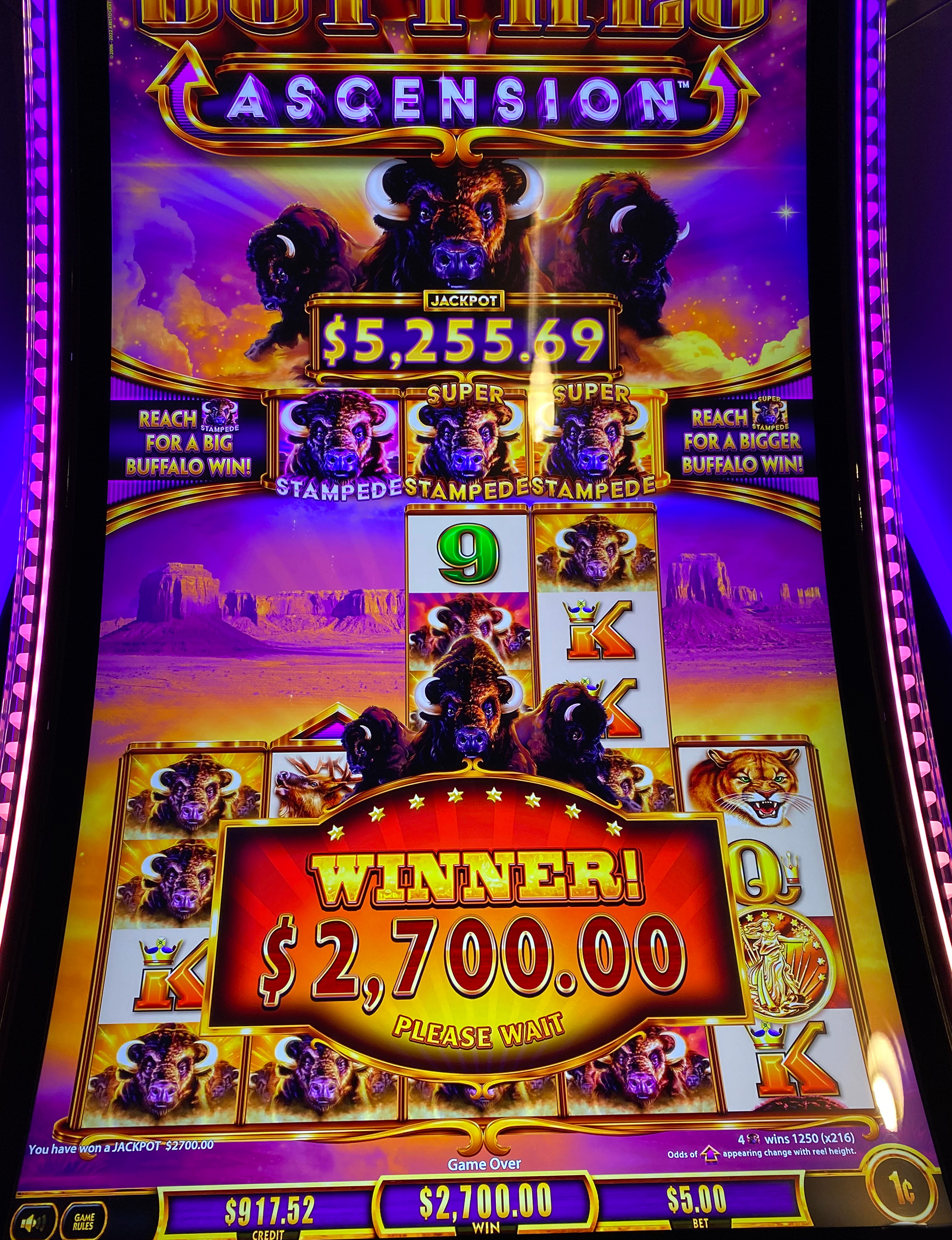 Buffalo Ascension photo 2