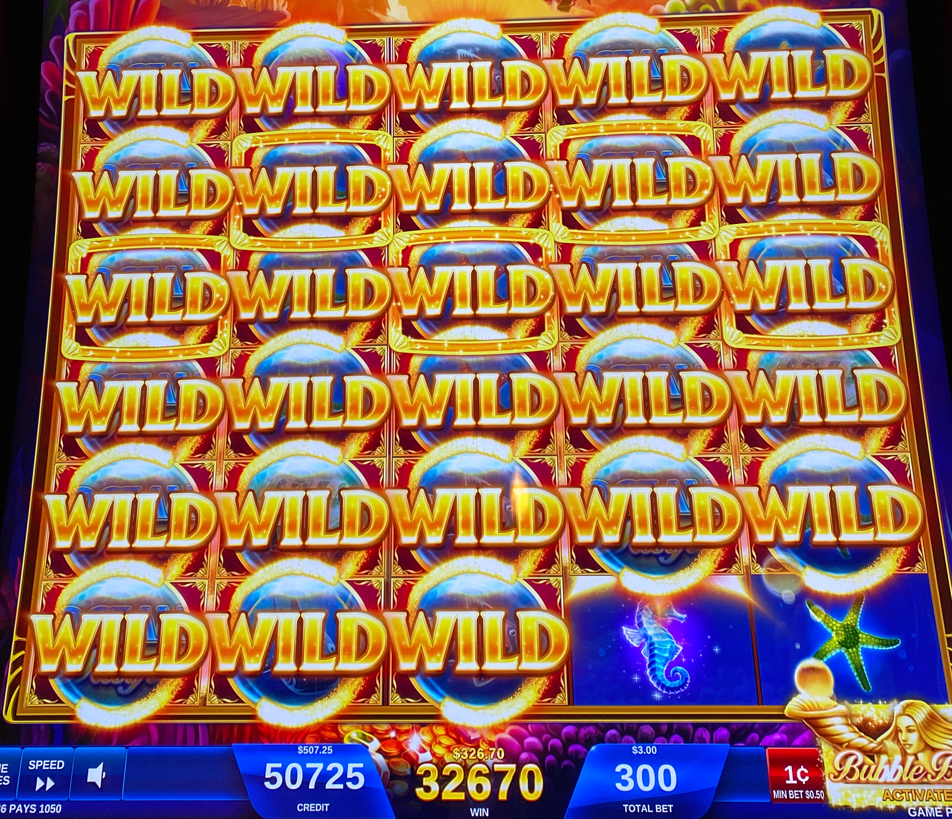 Ocean Magic Grand photo 1